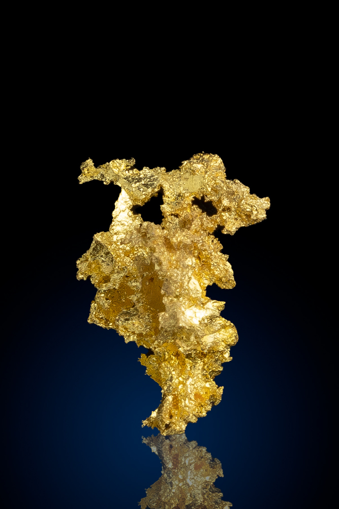 Beautiful Crystalline Gold from the Harvard Gold Mine